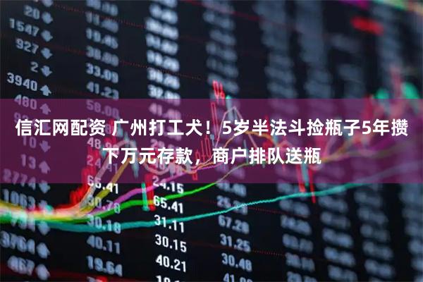 信汇网配资 广州打工犬！5岁半法斗捡瓶子5年攒下万元存款，商户排队送瓶