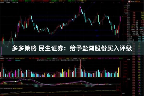 多多策略 民生证券：给予盐湖股份买入评级