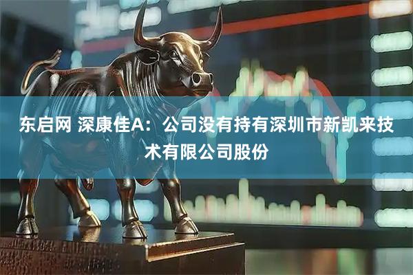 东启网 深康佳A：公司没有持有深圳市新凯来技术有限公司股份