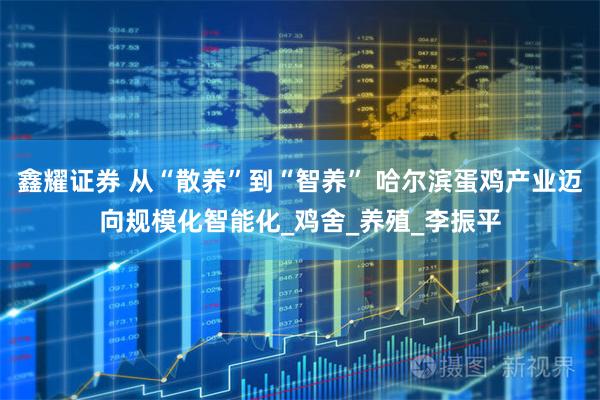 鑫耀证券 从“散养”到“智养” 哈尔滨蛋鸡产业迈向规模化智能化_鸡舍_养殖_李振平