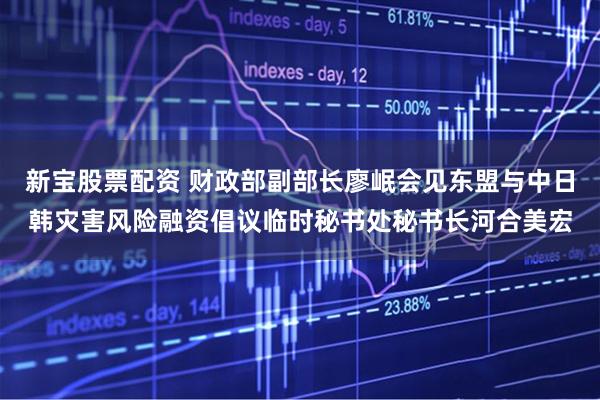 新宝股票配资 财政部副部长廖岷会见东盟与中日韩灾害风险融资倡议临时秘书处秘书长河合美宏